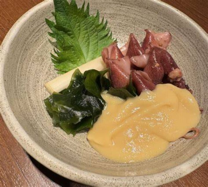 ホタルイカ情報掲示板の使い方｜身投げ情報を安全に読む実践ガイド